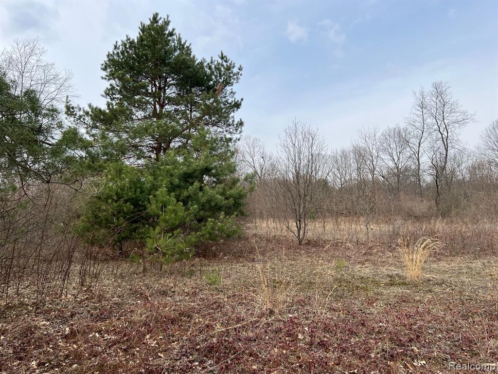 5231 LONSBERRY Road, Columbiaville, MI 48421 — Photo 19