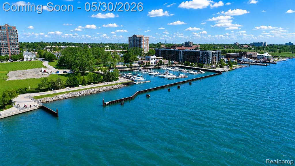 250 E Harbortown Drive, 205, Detroit, MI 48207 — Photo 41