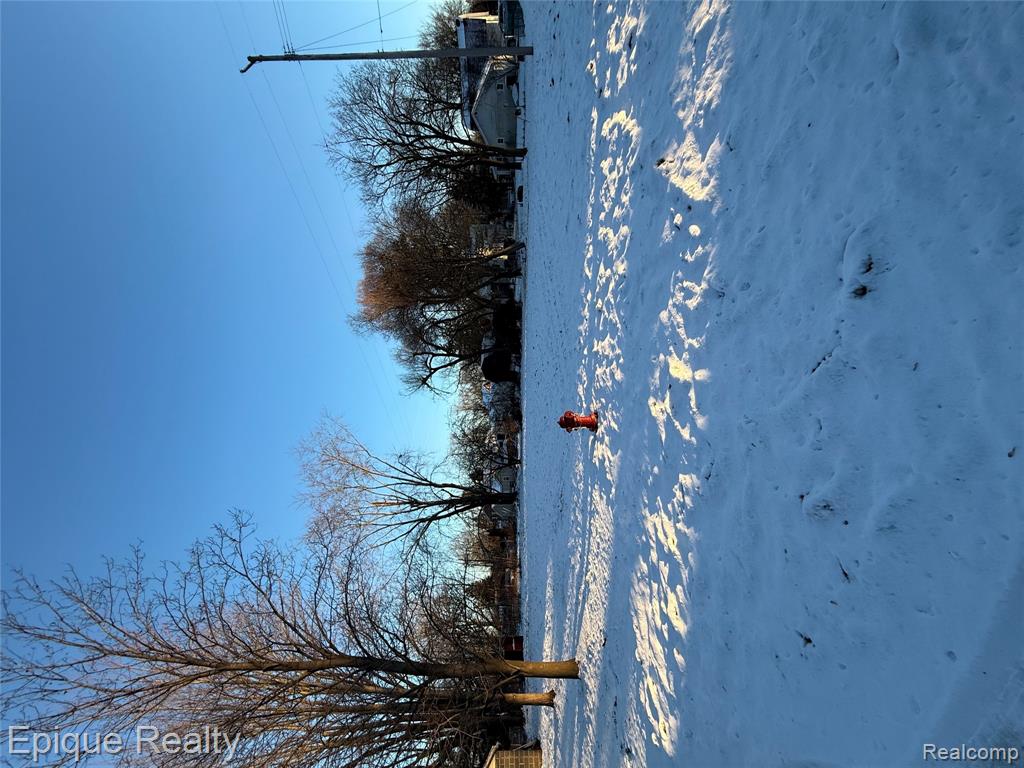 104 N Lester Street, Capac, MI 48014 — Photo 3