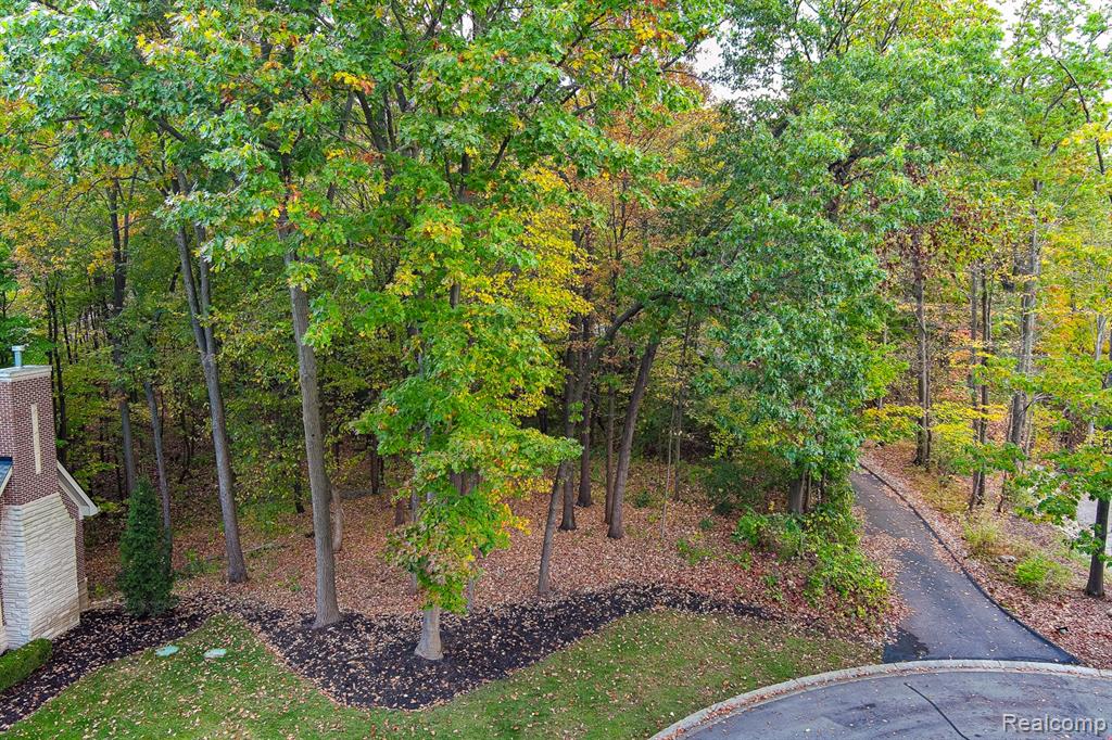 9933 Kingston Ridge, Clarkston, MI 48348 — Photo 4