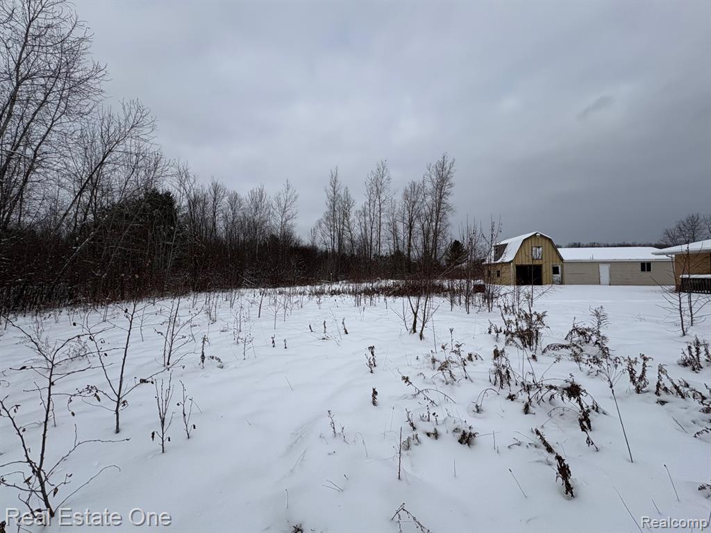 2855 E County Line Road, Hale, MI 48739 — Photo 35