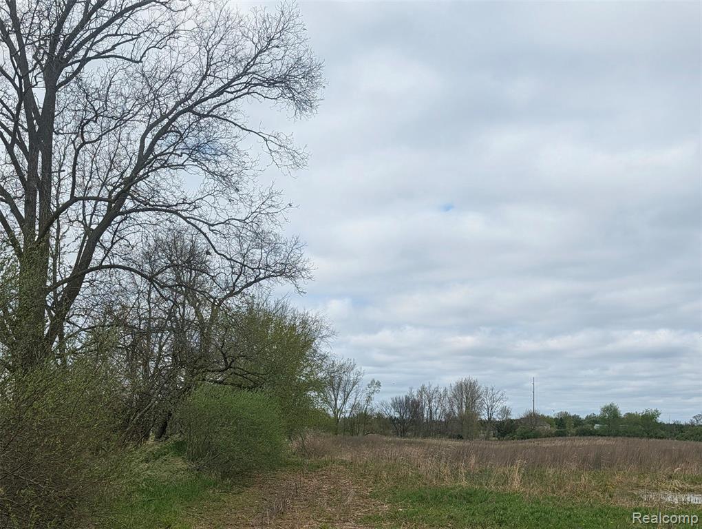 Parcel E Hogan Road, Linden, MI 48451 — Photo 6