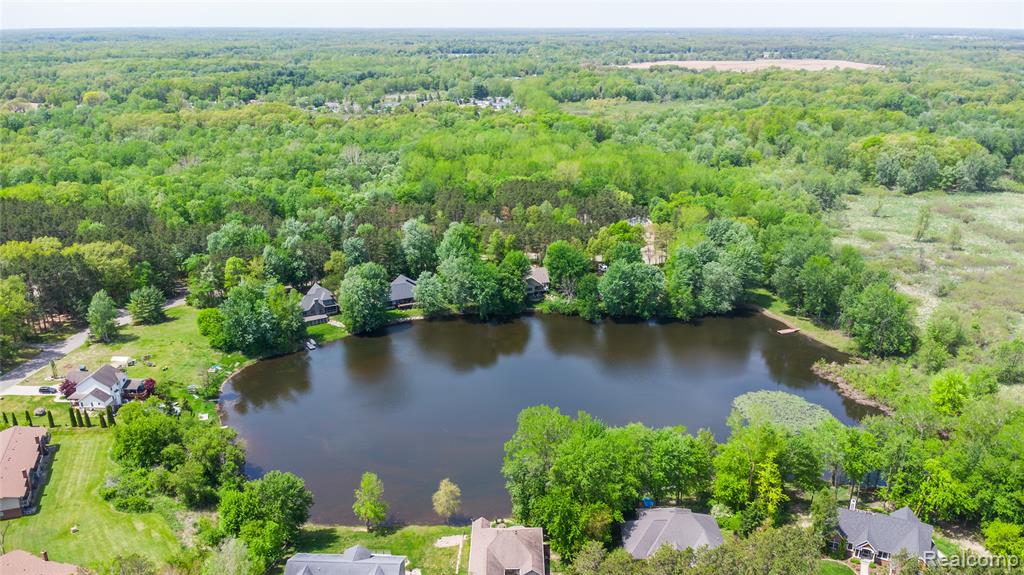 9076 Pineview Lake Court, Linden, MI 48451 — Photo 8