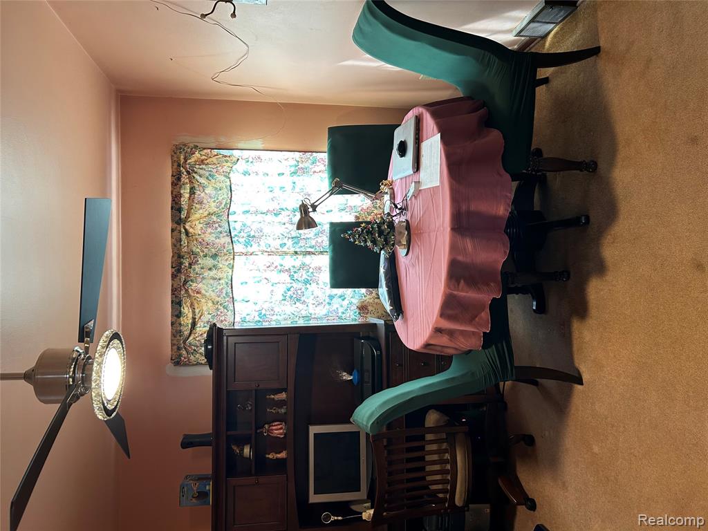 6667 Houghton Street, Cass City, MI 48726 — Photo 7