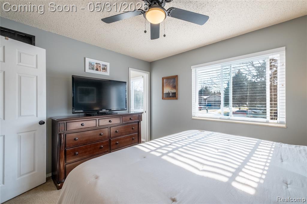 4102 Farner Street, Linden, MI 48451 — Photo 10