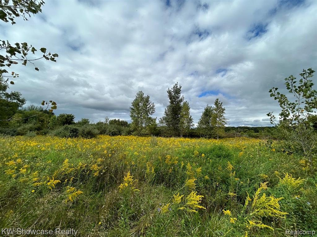 11250 HEIGHTS RAVENNA Road, Ravenna, MI 49451 — Photo 13