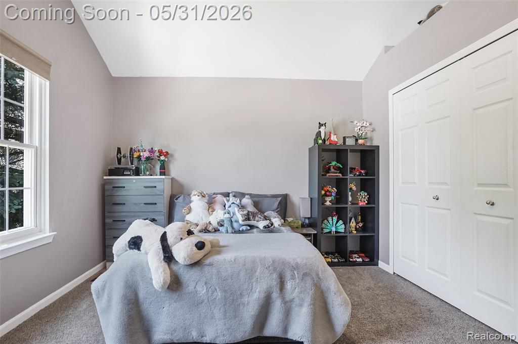 1170 Arabian Court, South Lyon, MI 48178 — Photo 40