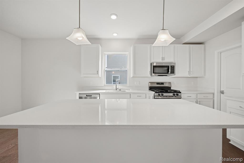 27148 Silo Drive, Saline, MI 48176 — Photo 4