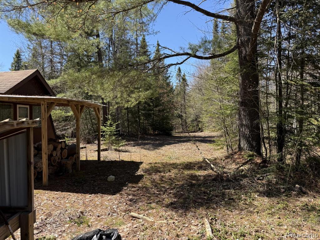 9718 W Black River Road, Naubinway, MI 49762 — Photo 19