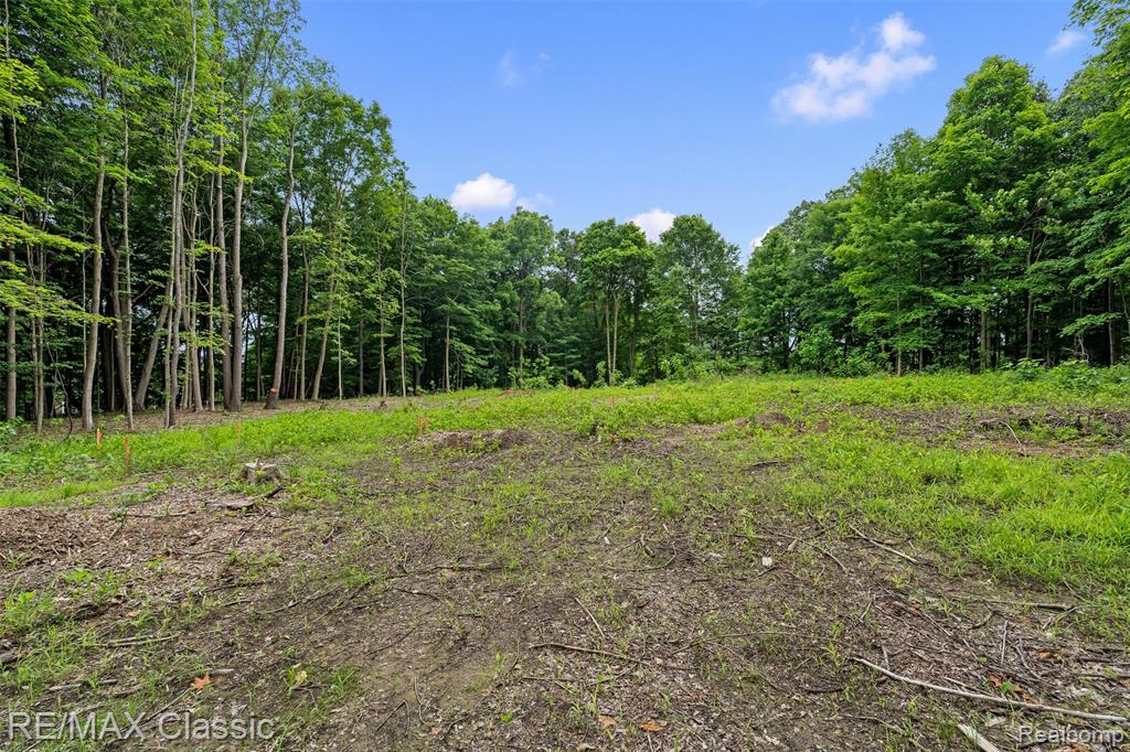 7888 N Territorial, Dexter, MI 48130 — Photo 3