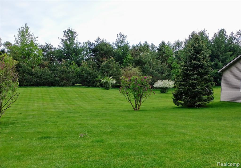 6140 BROOKHAVEN Drive, Imlay City, MI 48444 — Photo 55