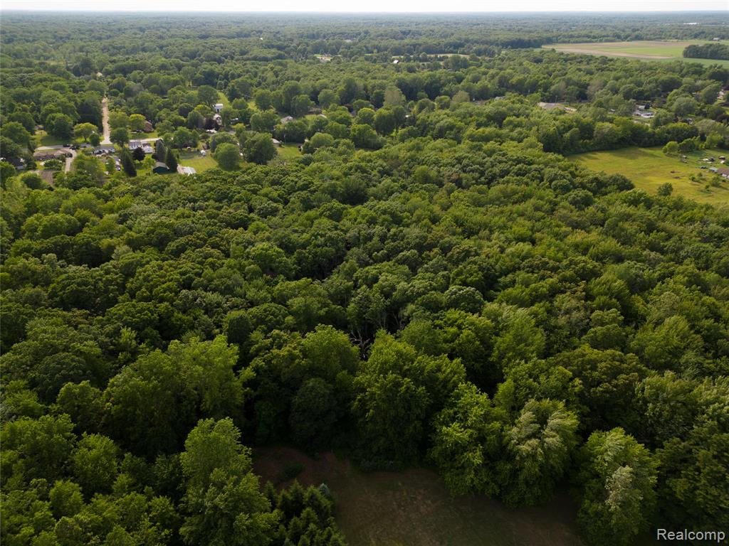 21515 Huron River Drive, New Boston, MI 48164 — Photo 57