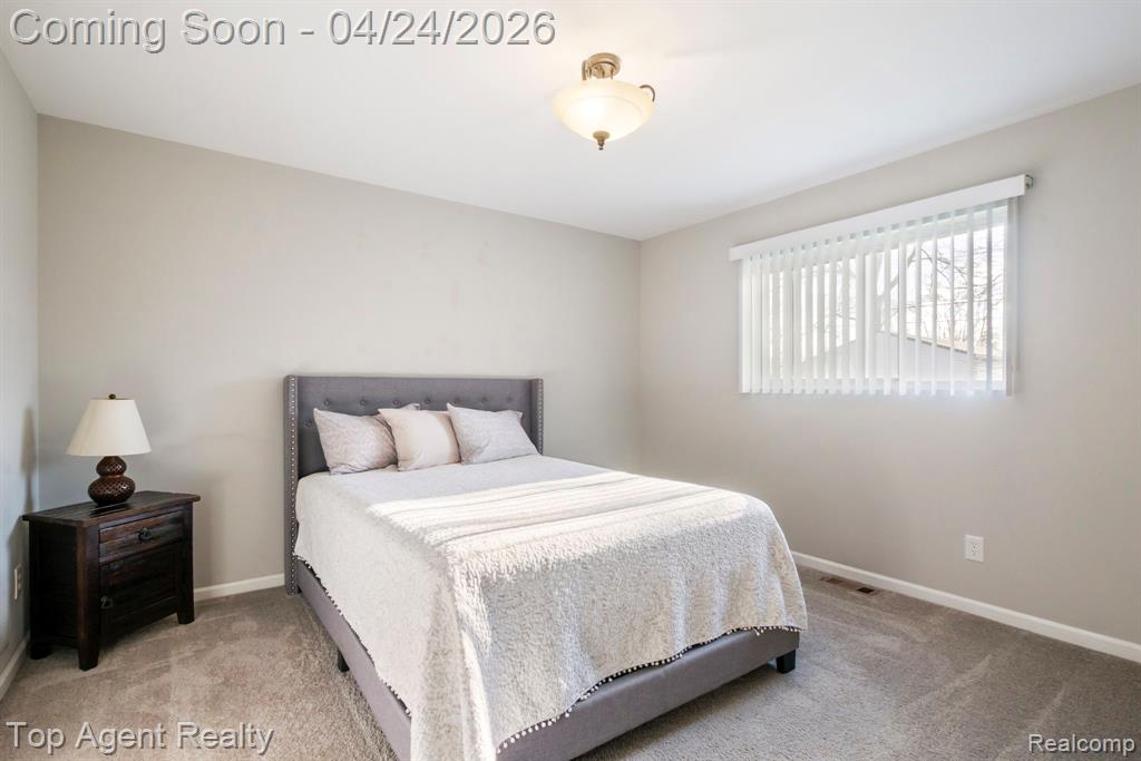 46059 Huling Street, Shelby Twp, MI 48317 — Photo 20