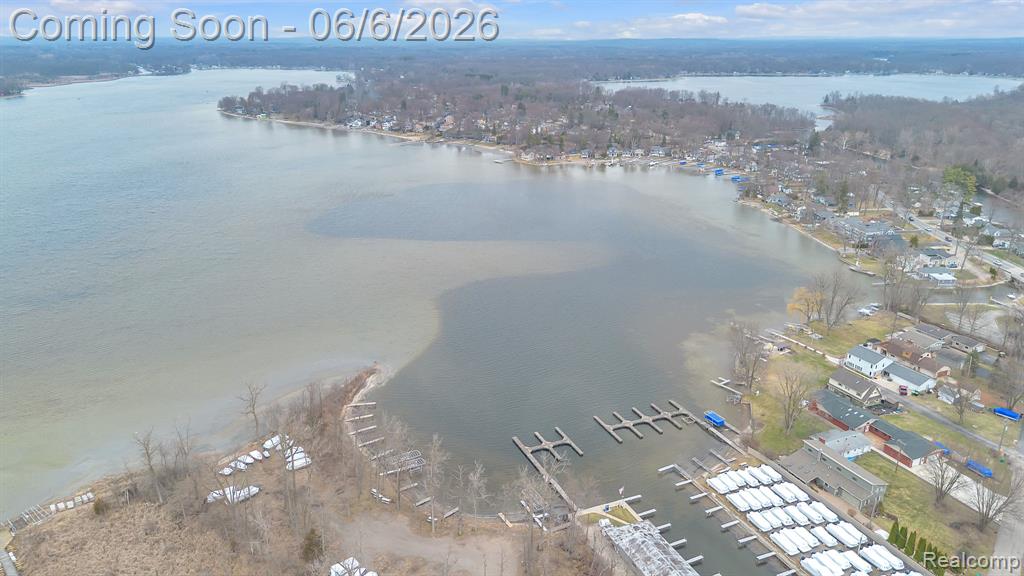 9473 Huron Street, Pinckney, MI 48169 — Photo 8