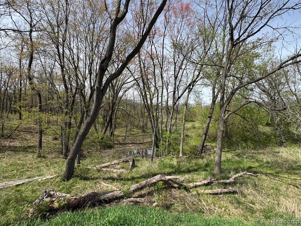 5100 MYRTLE Lane, Fenton, MI 48430 — Photo 8