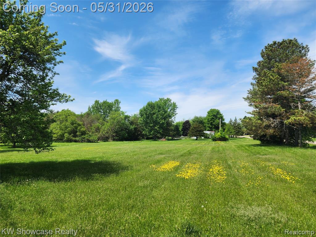4356 S Vassar Road, Burton, MI 48519 — Photo 10
