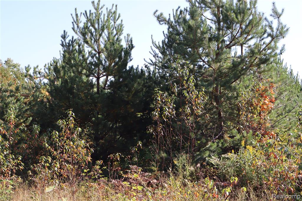 Lot D W Pendills Lake Road, Brimley, MI 49715 — Photo 31