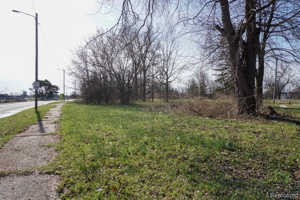 13500 PATTON Street, Detroit, MI 48223 — Photo 8