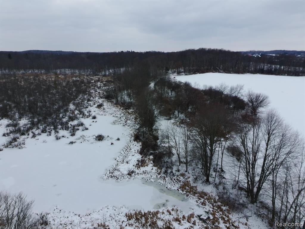 2581 Carpenter Road, Lapeer, MI 48446 — Photo 29