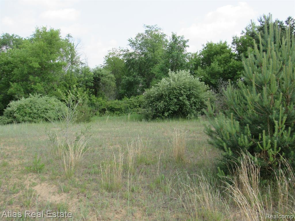78 W BARNES Road, Fostoria, MI 48435 — Photo 45