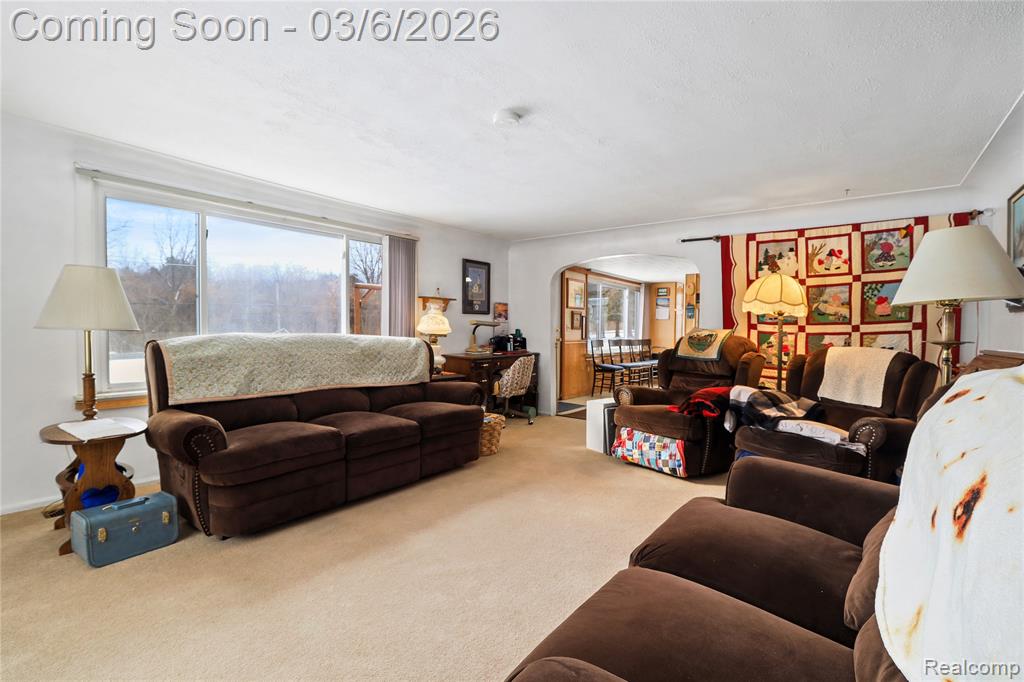 5194 Davison Road, Lapeer, MI 48446 — Photo 8