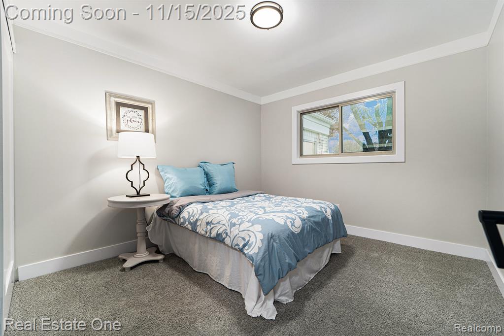 14111 Thornwood Street, Riverview, MI 48193 — Photo 17