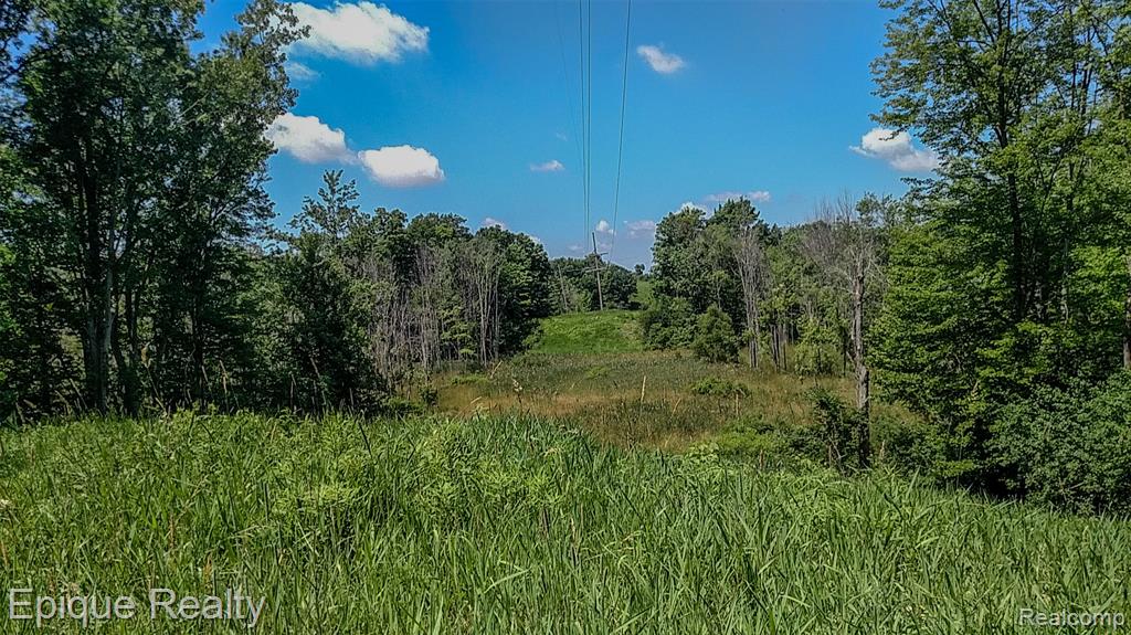 300 W Dewey Road, Owosso, MI 48867 — Photo 13