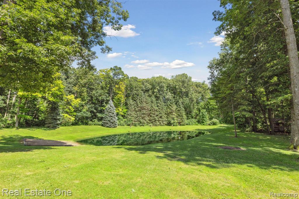 4120 Lum Road, Attica, MI 48412 — Photo 73