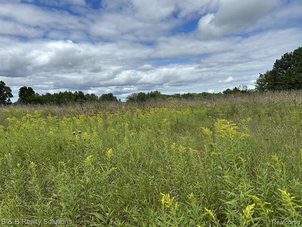 6318 Clear Lake Road, Imlay City, MI 48444 — Photo 43