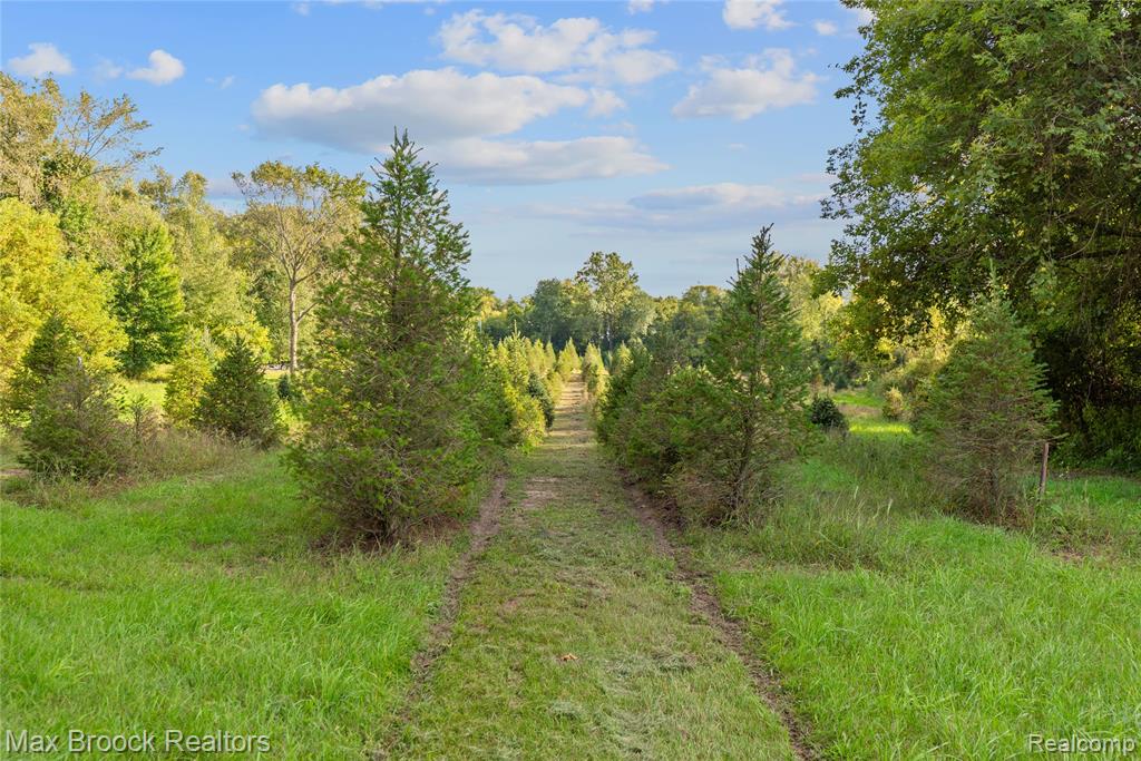 4700 Stanley Road, Columbiaville, MI 48421 — Photo 6