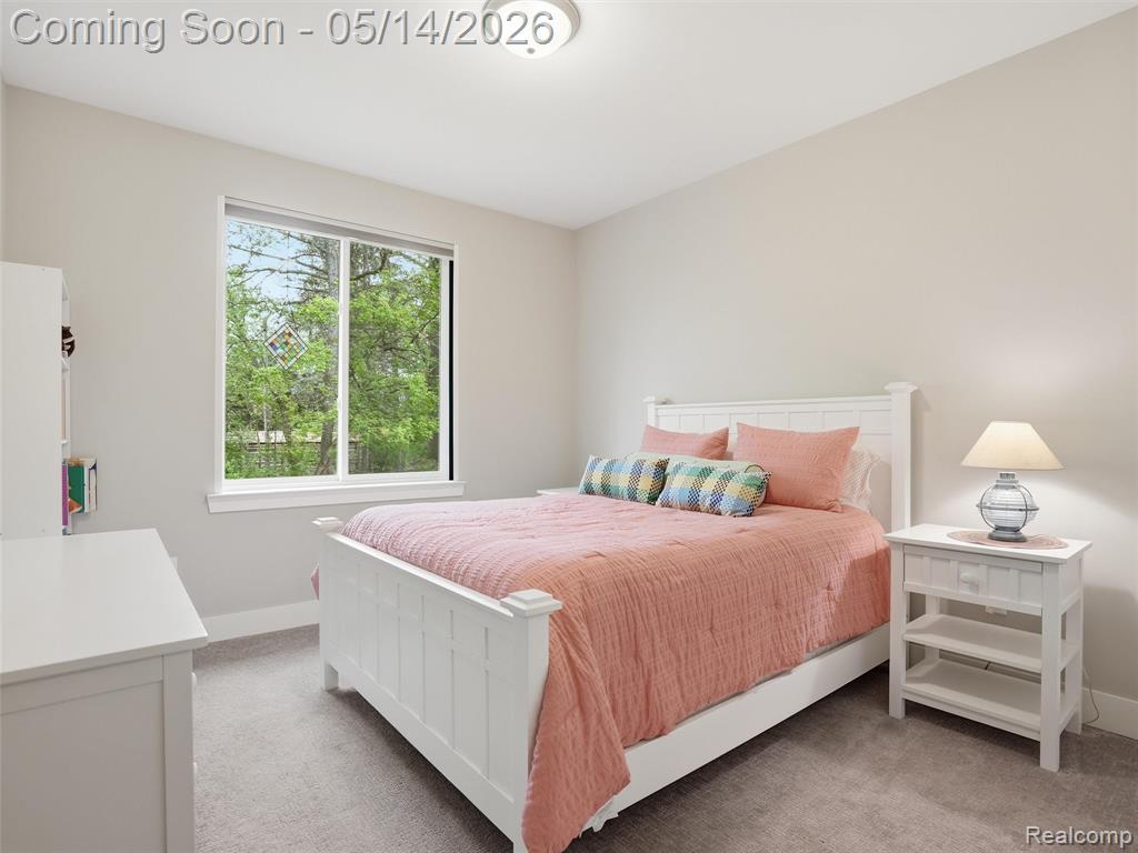 3513 Pointe Shore Drive, Brighton, MI 48114 — Photo 23