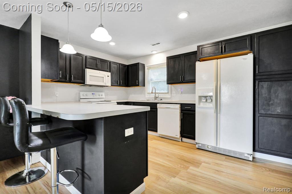 730 Cherry Street, Charlotte, MI 48813 — Photo 11