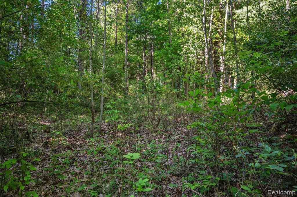 6250 Stine Road, Imlay City, MI 48444 — Photo 70