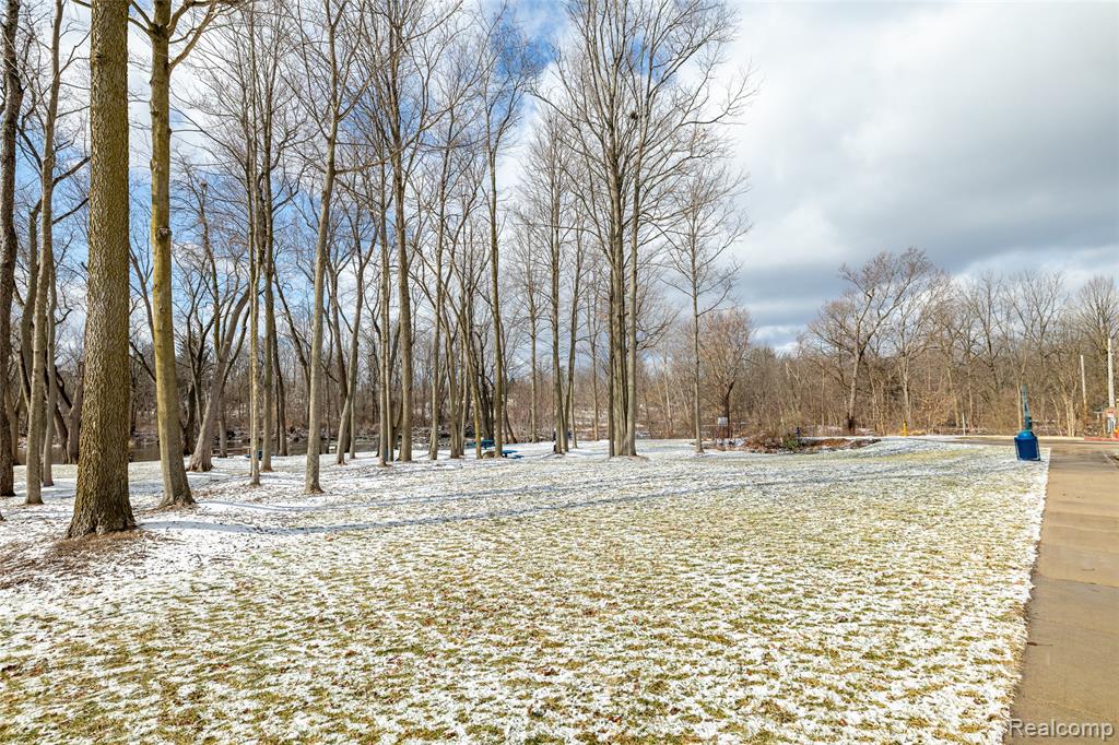 6411 Pleasant River Drive, Delhi, MI 48821 — Photo 52