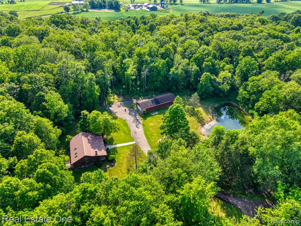 15060 Van Syckle Court, Gregory, MI 48137 — Photo 6