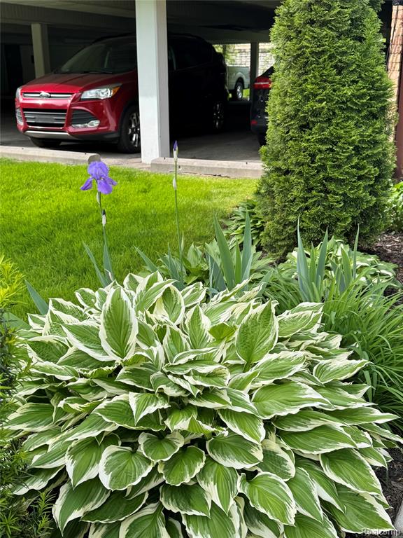 32040 Grand River Avenue, 47, Farmington, MI 48336 — Photo 20