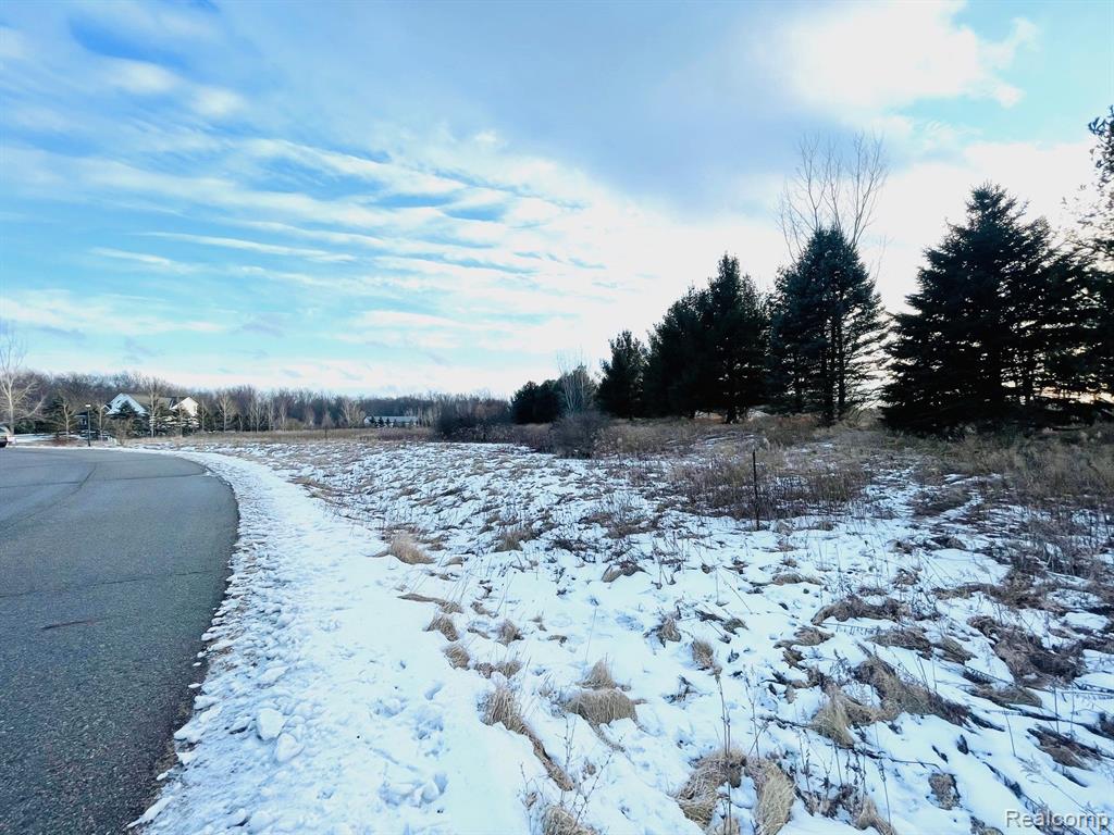 Lot 6 Sleeping Meadow, Mason, MI 48854 — Photo 5