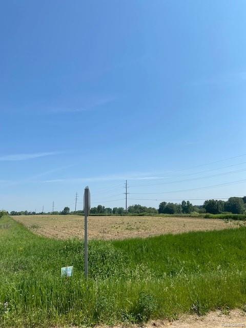 7451 Fostoria Road, Mayville Vlg, MI 48744 — Photo 3