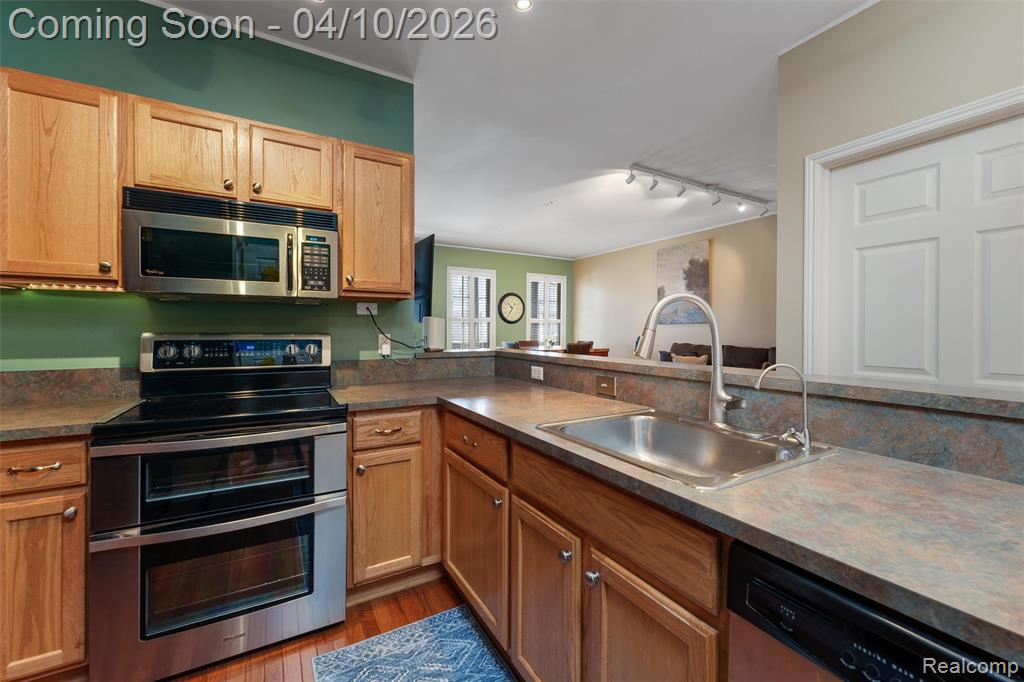 203 Jotham Avenue, Auburn Hills, MI 48326 — Photo 13