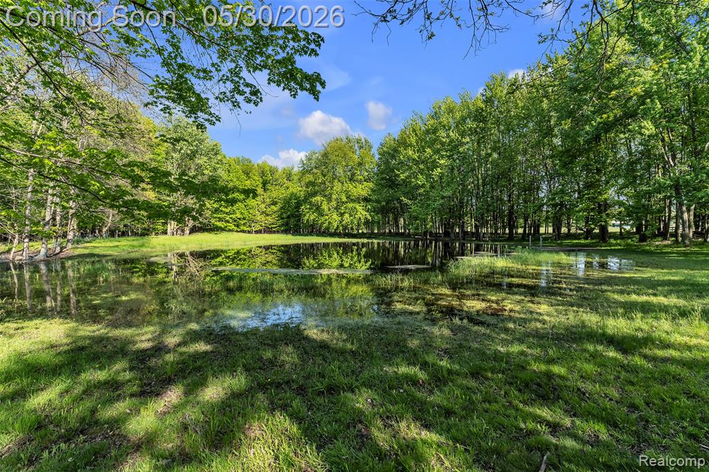 1345 Ives Road, Mason, MI 48854 — Photo 72