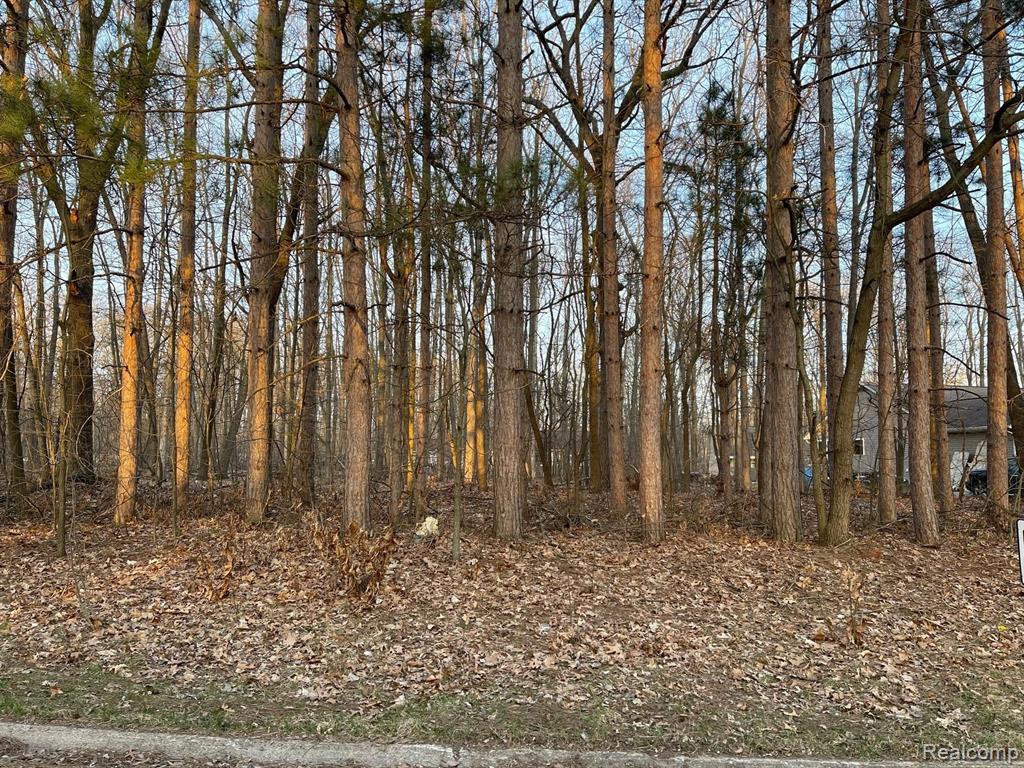 9127 Pineview Lake, Linden, MI 48451 — front exterior