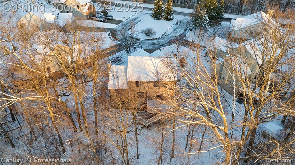 1062 Key West Court, Orion, MI — Photo 49