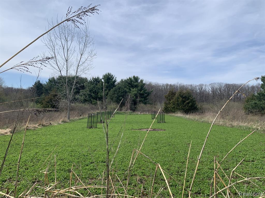 3056 W Cook Road, Grand Blanc, MI 48439 — Photo 13
