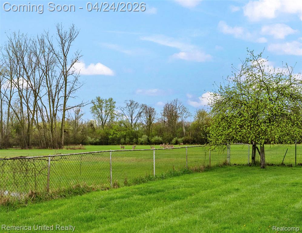 32204 Truman Road, Rockwood, MI — Photo 13