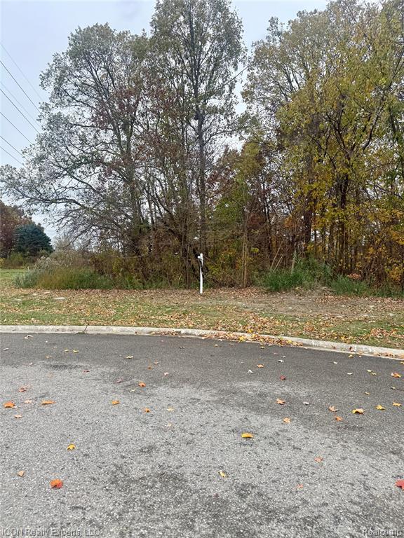 10380 Excalibur Drive, Shelby Twp, MI 48315 — Photo 2