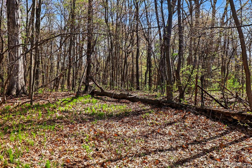 8815 Milford Road, Holly, MI 48442 — Photo 24