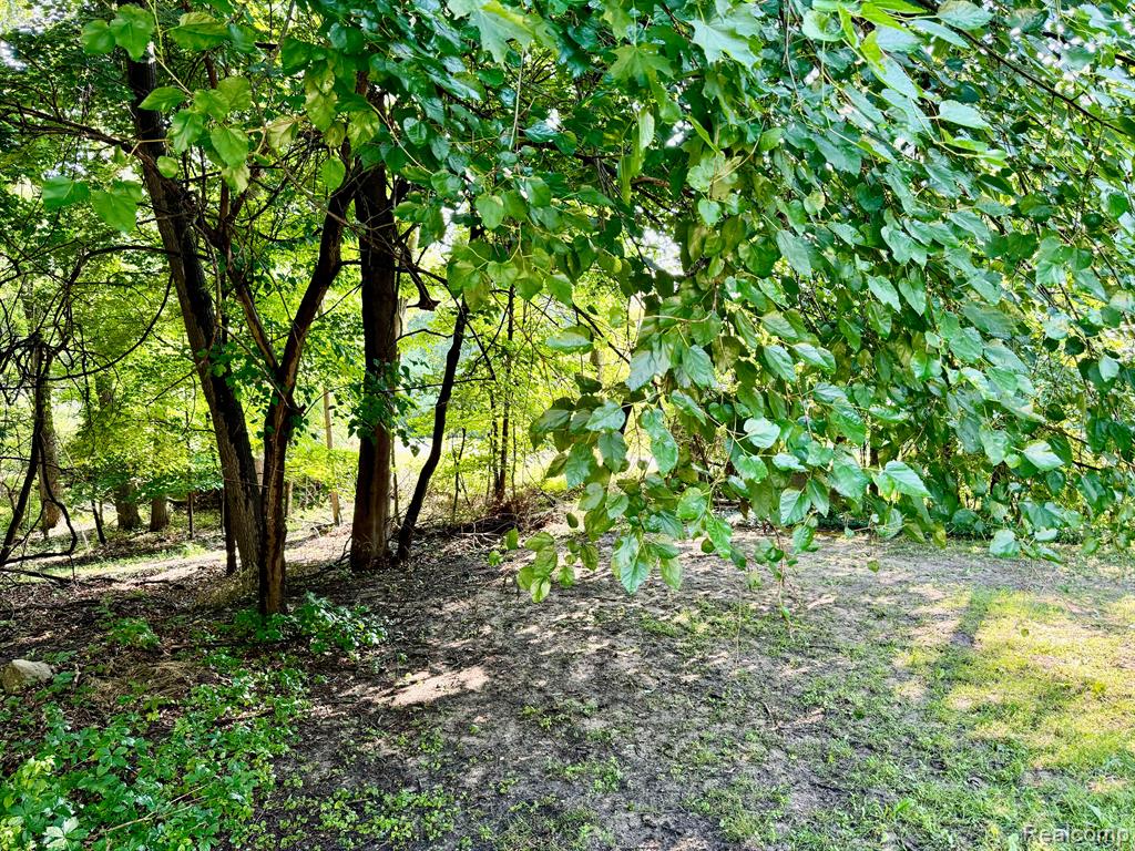 4111 BLOOD Road, Metamora, MI 48455 — Photo 51