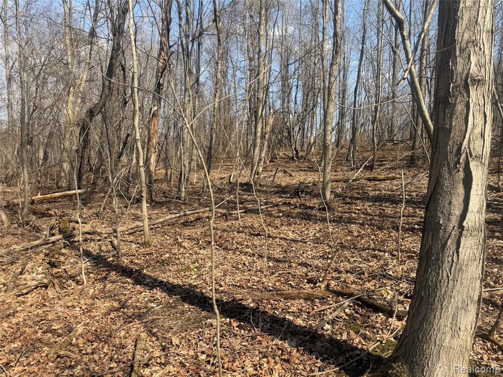 V/L Fulton, Mayville Vlg, MI 48744 — Photo 18