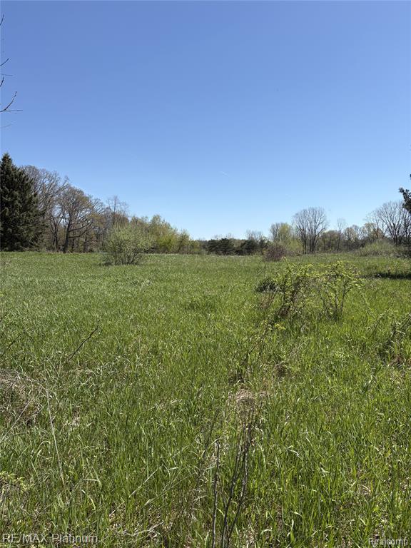 Parcel 1 Edgemont Drive, Howell, MI 48855 — Photo 8
