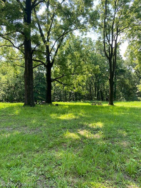 6 Sleaford-Parcel 6 - 2.1 Acres Road, Howell, MI 48843 — Photo 38